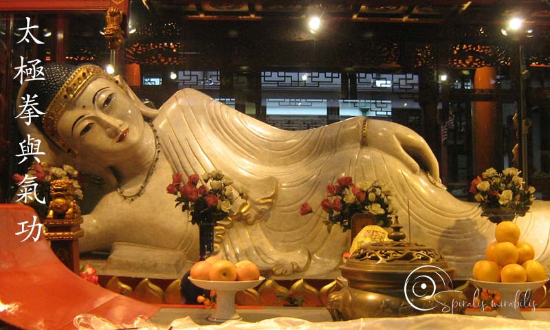 Spiralis Mirabilis - Rivista dedicata alle arti marziali cinesi e alla cultura tradizionale cinese con focus su Tai Chi QiGong e DaoYin