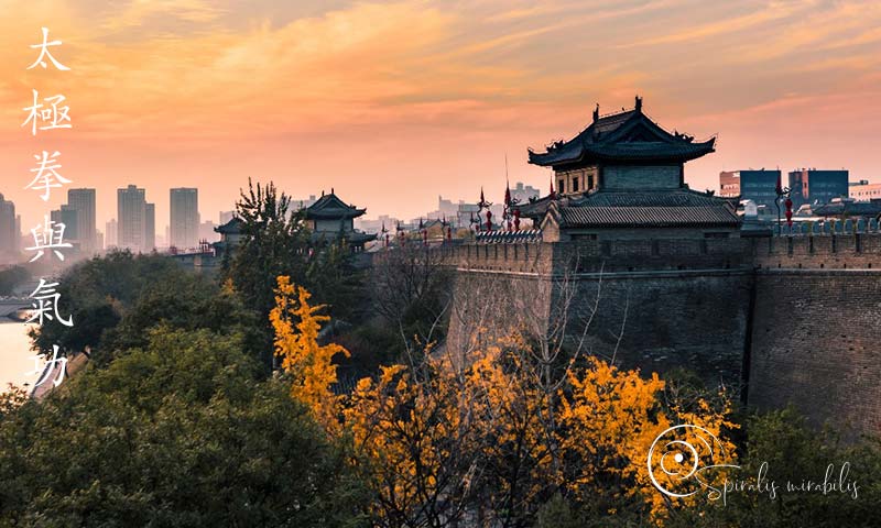 Spiralis Mirabilis - Rivista dedicata alle arti marziali cinesi e alla cultura tradizionale cinese con focus su Tai Chi QiGong e DaoYin